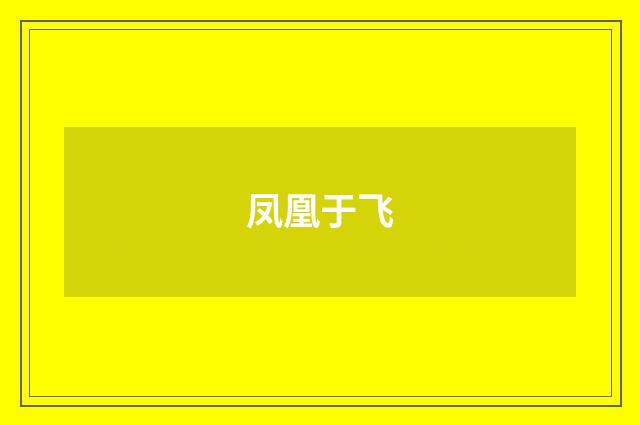 凤凰于飞