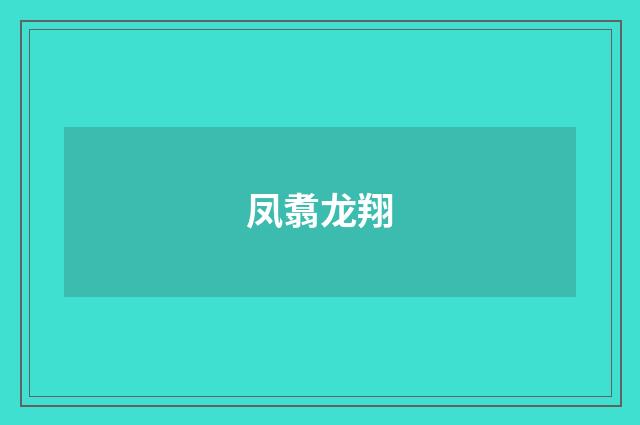 凤翥龙翔