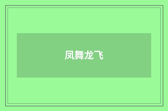 凤舞龙飞