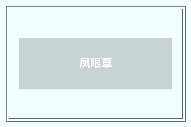 凤眼草