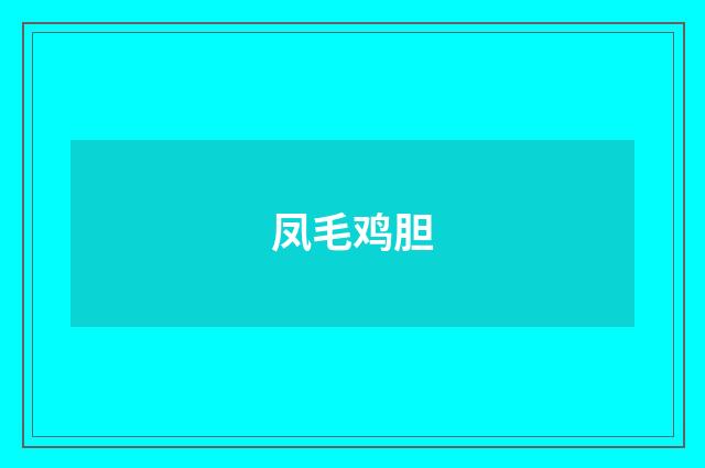 凤毛鸡胆