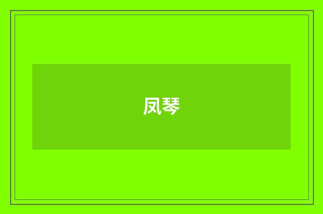 凤琴