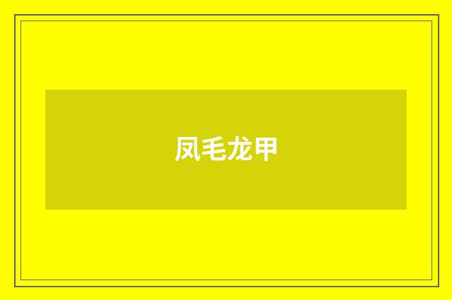 凤毛龙甲