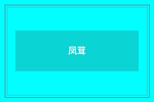 凤茸
