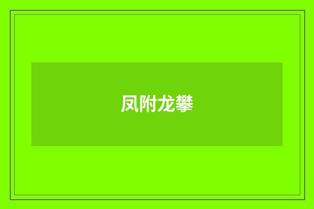 凤附龙攀