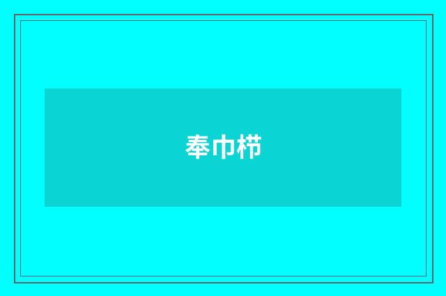 奉巾栉