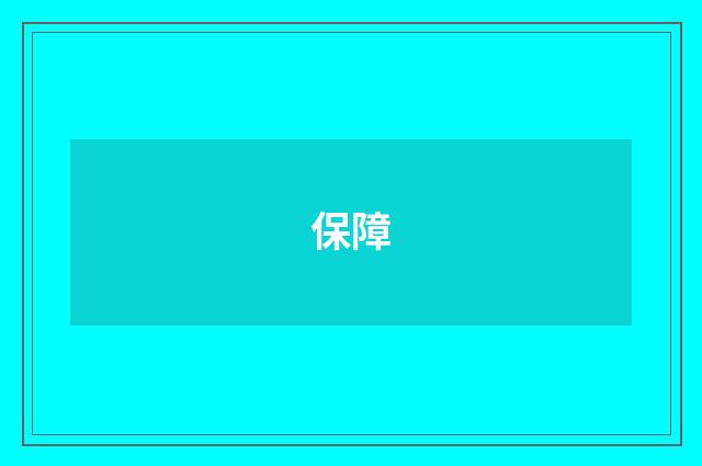 保障