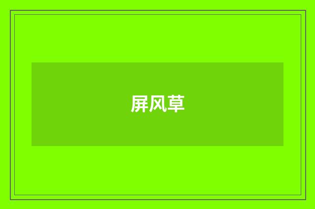 屏风草