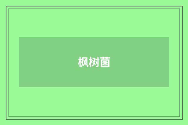 枫树菌