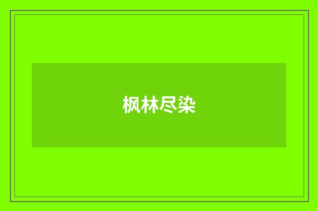 枫林尽染