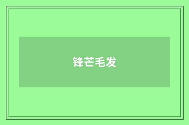 锋芒毛发