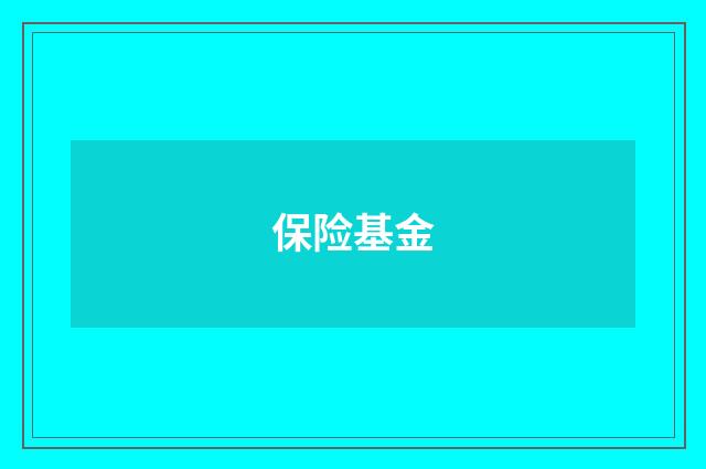 保险基金