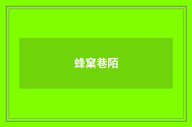 蜂窠巷陌