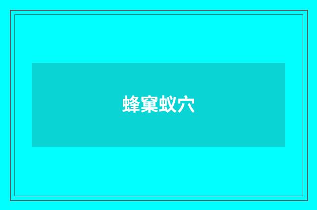 蜂窠蚁穴