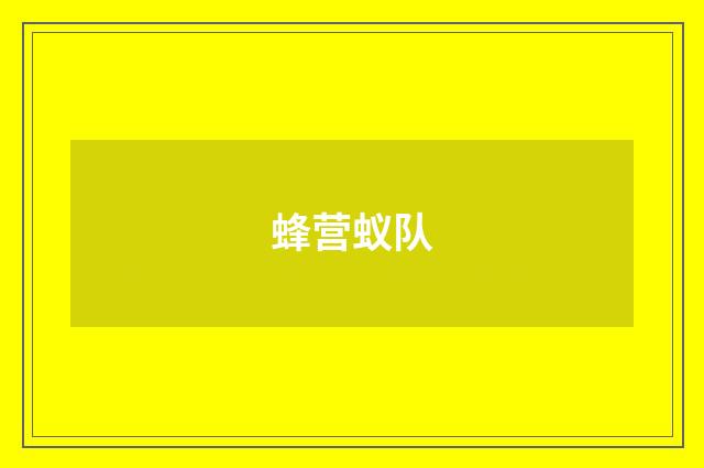 蜂营蚁队