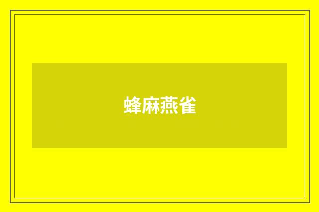 蜂麻燕雀