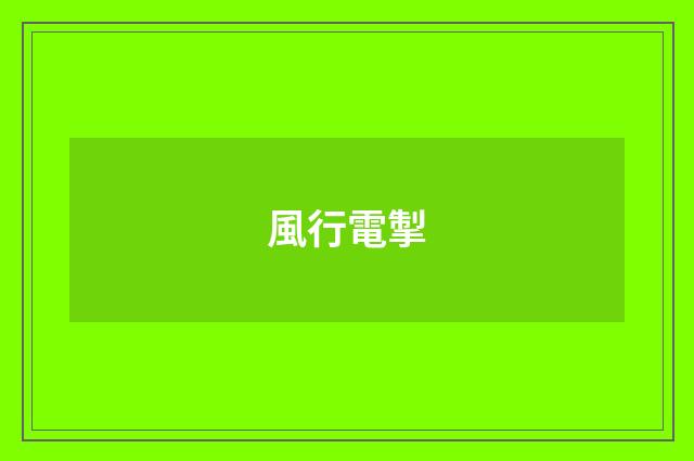 風行電掣