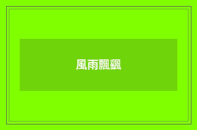 風雨飄颻