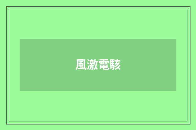 風激電駭