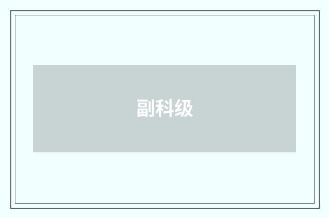 副科级