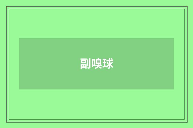 副嗅球