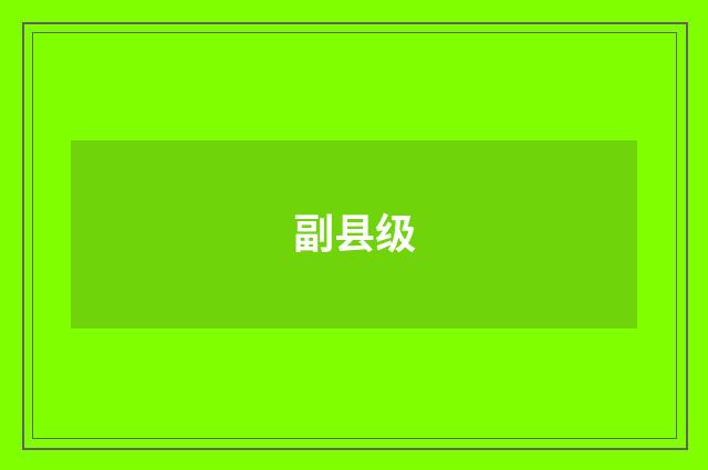 副县级
