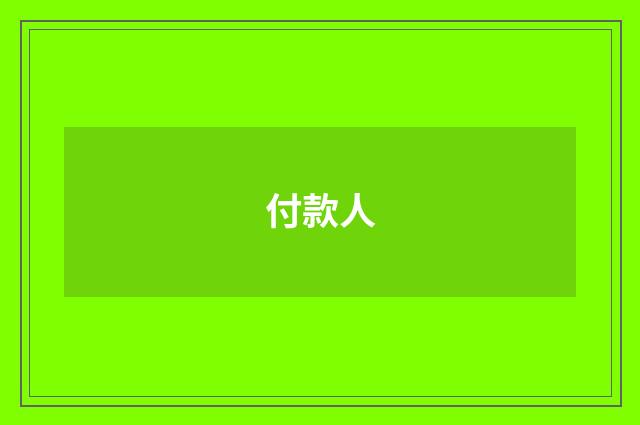 付款人