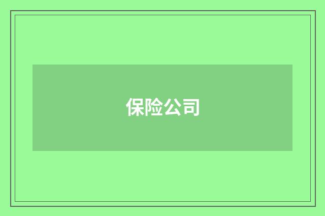 保险公司