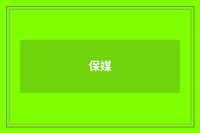 保媒