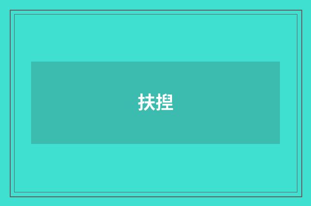 扶揑