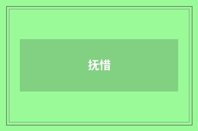 抚惜