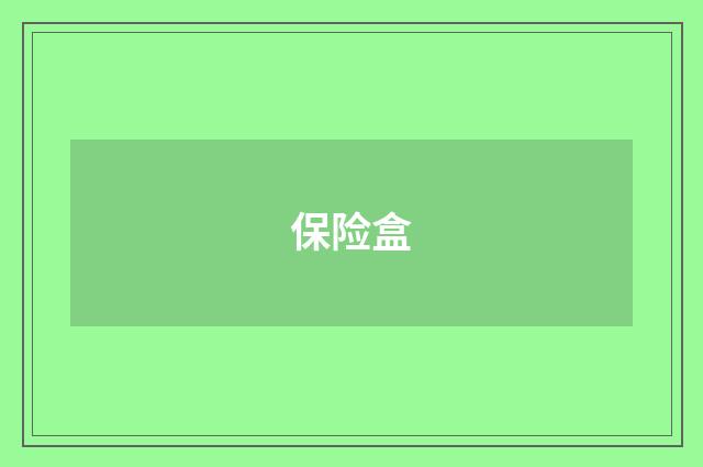 保险盒