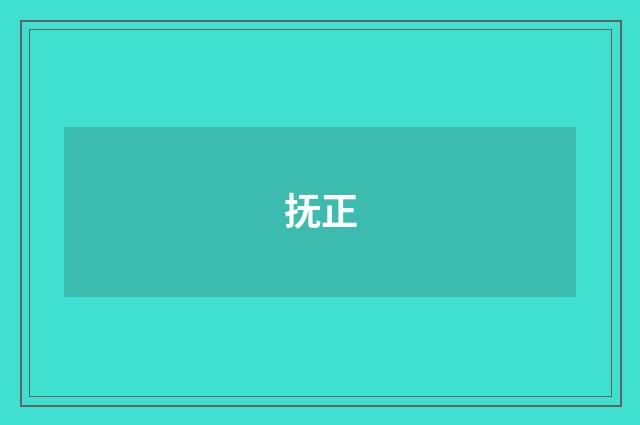 抚正