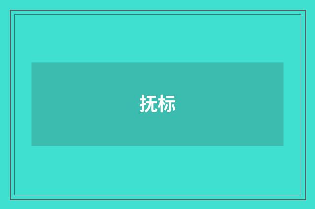 抚标