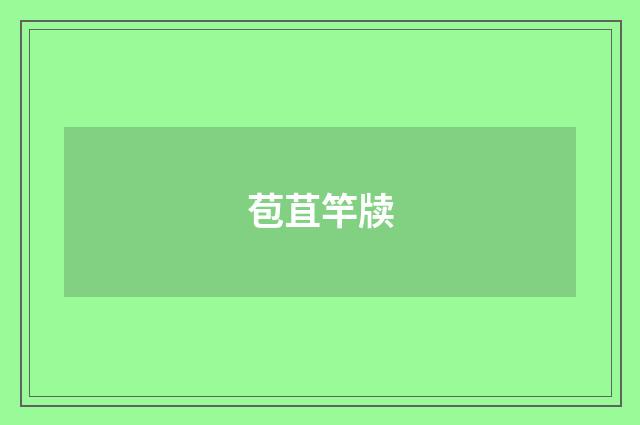 苞苴竿牍