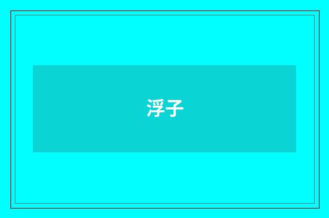 浮子