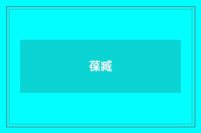 葆臧
