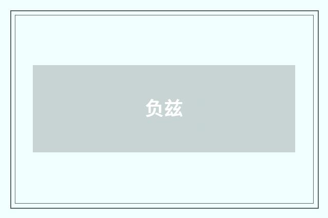 负兹