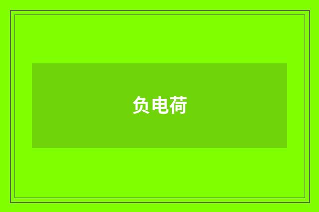 负电荷