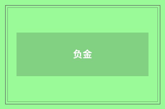 负金