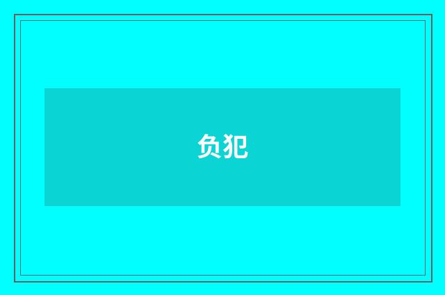 负犯