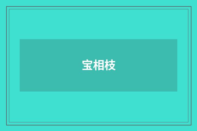 宝相枝