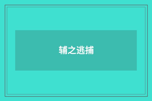 辅之逃捕