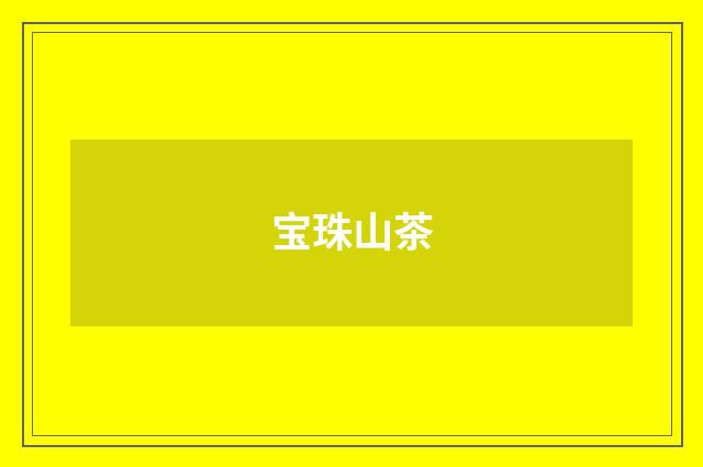 宝珠山茶