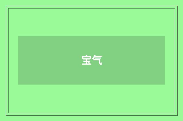 宝气