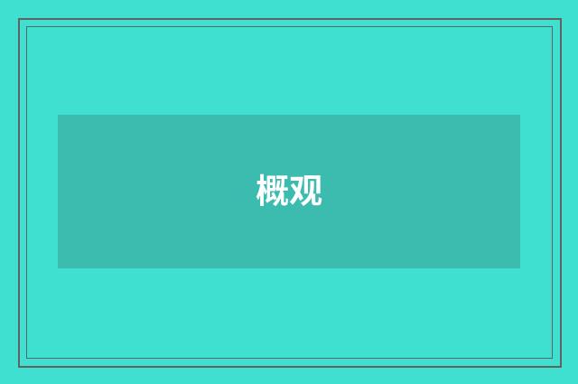 概观