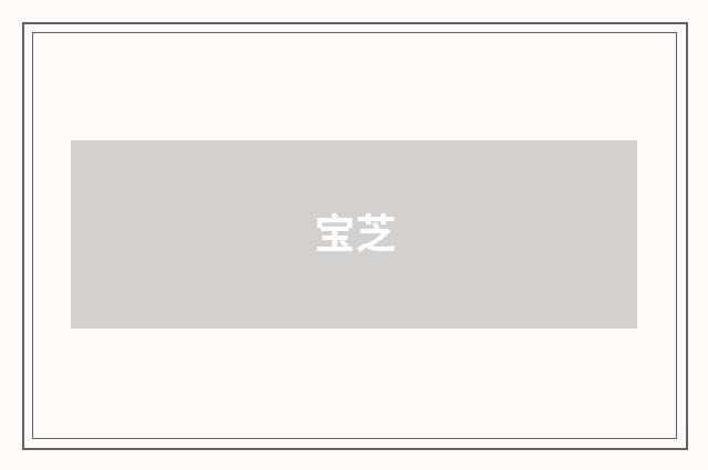 宝芝