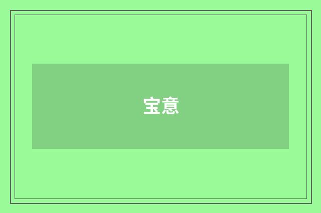 宝意
