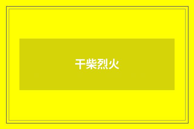 干柴烈火