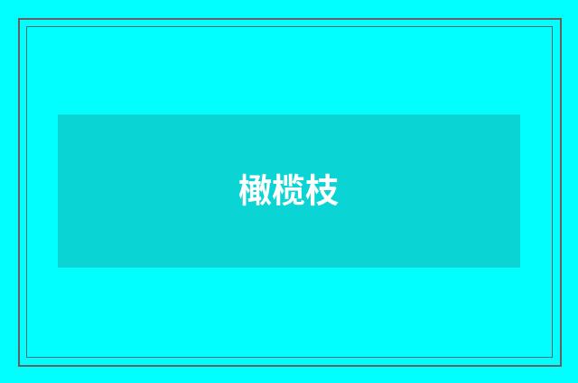 橄榄枝